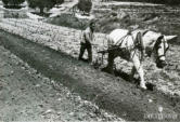 Agustin Rius llaurant al mas de la Cova