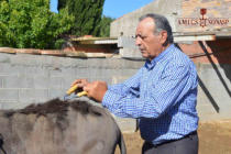 José Albiac (L'esquilador)