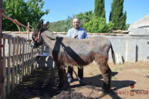 José Albiac (L'esquilador)