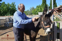 José Albiac (L'esquilador)